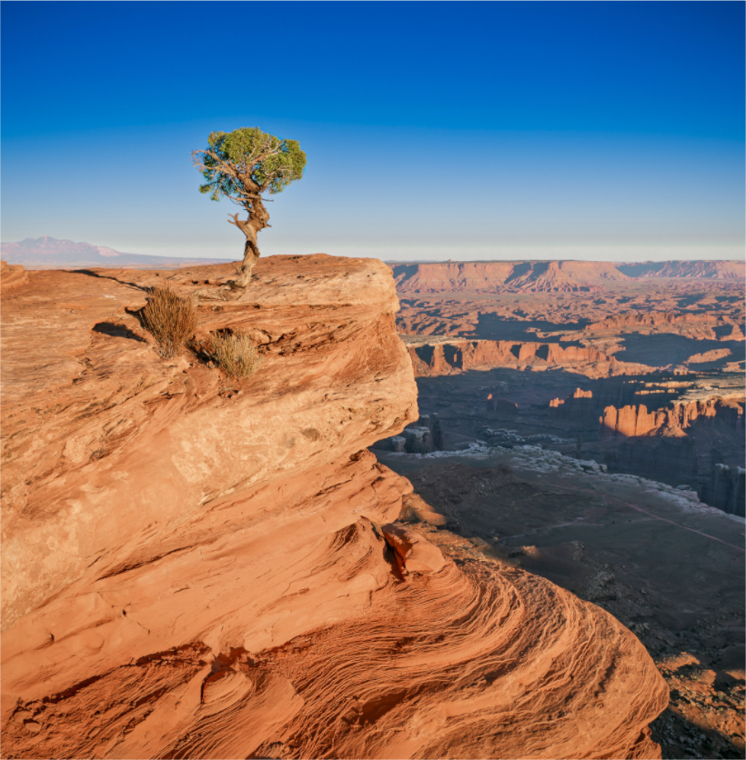 Main image Silent Sentinel of Canyonlands National Park, Utah