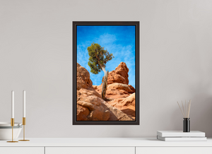 12 x 19.5″, Alder Brown Floater Frame Silent Sentinel of Arches National Park, Utah