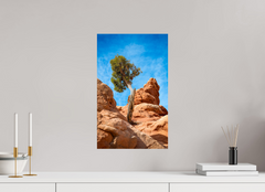 12 x 19.5″, Photo Print On Fuji Crystal DP II Silent Sentinel of Arches National Park, Utah