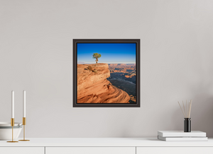 12 x 12.2″, Alder Brown Floater Frame Silent Sentinel of Canyonlands National Park, Utah