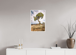 16 x 24″, Fine Art Print on Hahnemuhle Bamboo Silent Sentinel of Black Canyon of the Gunnison National Park, Colorado