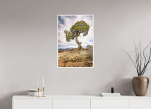 20 x 30″, Fine Art Print on Hahnemuhle Bamboo Silent Sentinel of Black Canyon of the Gunnison National Park, Colorado