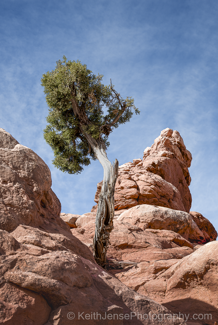 Main image Silent Sentinel of Arches National Park, Utah