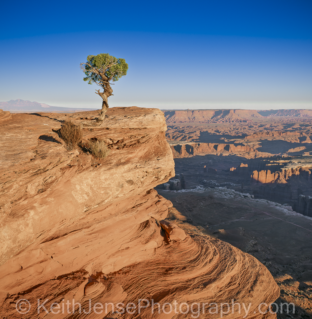 Main image Silent Sentinel of Canyonlands National Park, Utah