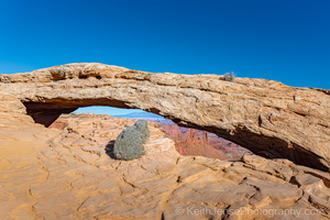 Main image 'Rabbit's View' - Mesa Arch, Canyonlands National Park, Utah