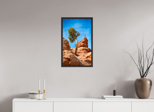16 x 26″, Alder Brown Floater Frame Silent Sentinel of Arches National Park, Utah