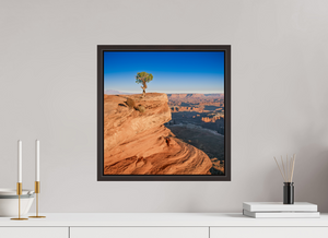 16 x 16.3″, Alder Brown Floater Frame Silent Sentinel of Canyonlands National Park, Utah
