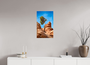16 x 26″, Photo Print Under Acrylic Glass Silent Sentinel of Arches National Park, Utah