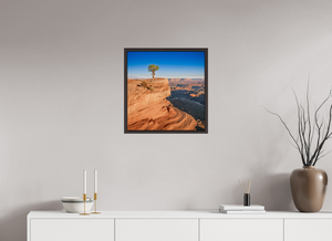 20 x 20.4″, Alder Brown Floater Frame Silent Sentinel of Canyonlands National Park, Utah