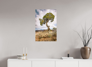 20 x 30″, Photo Print Under Acrylic Glass Silent Sentinel of Black Canyon of the Gunnison National Park, Colorado