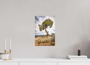 10 x 15″, Photo Print On Fuji Crystal DP II Silent Sentinel of Black Canyon of the Gunnison National Park, Colorado