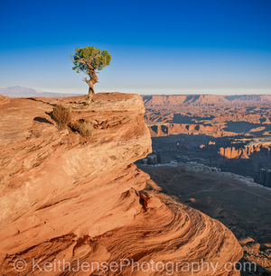 Main image Silent Sentinel of Canyonlands National Park, Utah