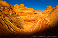 The Wave