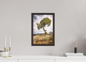10 x 15″, Alder Brown Floater Frame Silent Sentinel of Black Canyon of the Gunnison National Park, Colorado