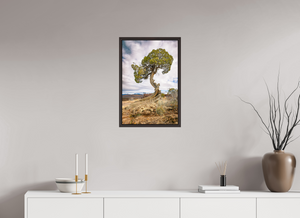 16 x 24″, Alder Brown Floater Frame Silent Sentinel of Black Canyon of the Gunnison National Park, Colorado