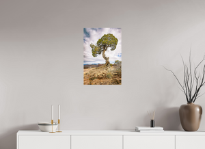 16 x 24″, Photo Print Under Acrylic Glass Silent Sentinel of Black Canyon of the Gunnison National Park, Colorado