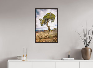 20 x 30″, Alder Brown Floater Frame Silent Sentinel of Black Canyon of the Gunnison National Park, Colorado