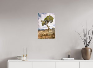 16 x 24″, Photo Print On Fuji Crystal DP II Silent Sentinel of Black Canyon of the Gunnison National Park, Colorado