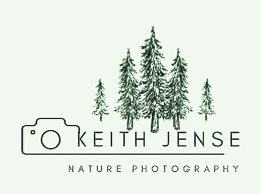 Keith Jense Photography
